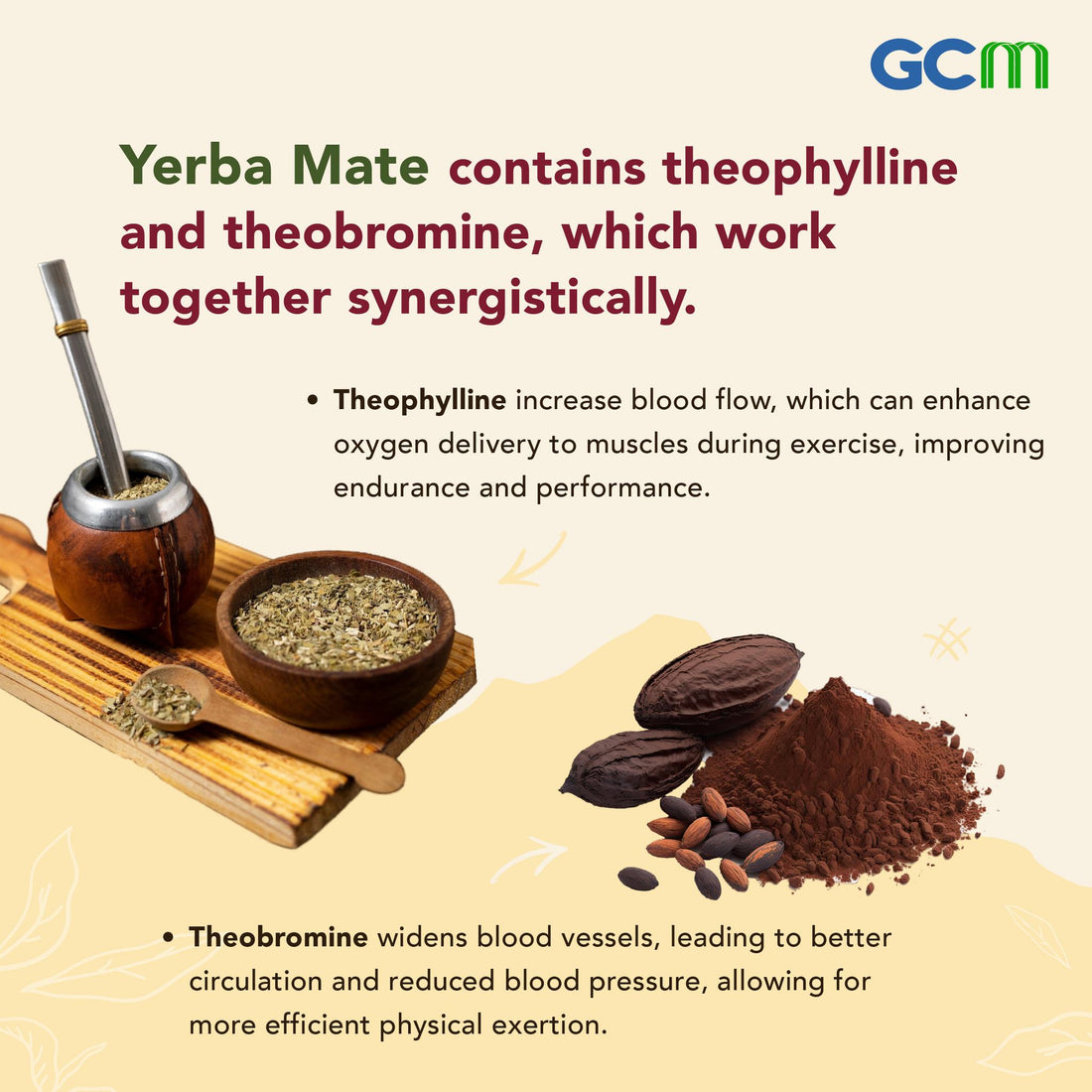 More About Yerba Mate