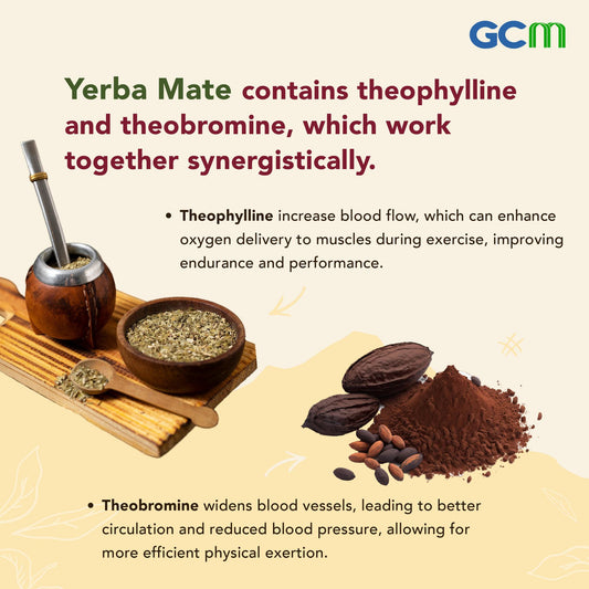 More About Yerba Mate