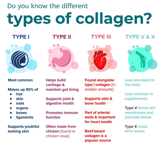 A Guide To Collagen Types
