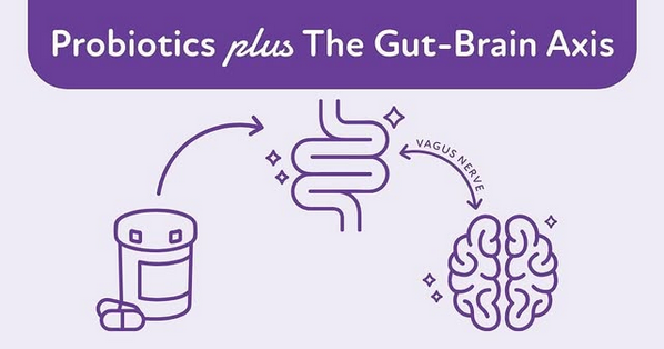 Scientists Reveal Gut Microbes’ Hidden Role in Anxiety