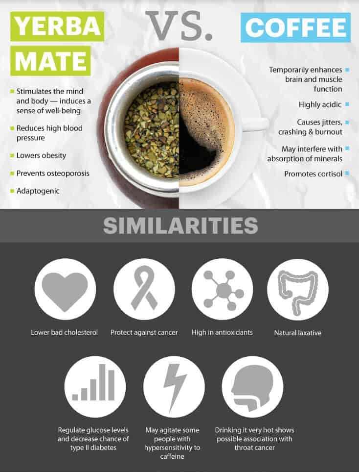 Yerba Mate vs. Coffee