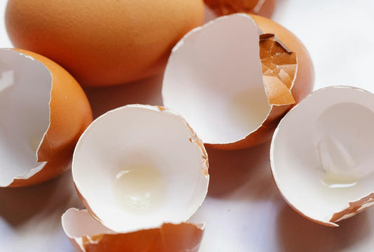 Eggshell Membrane: A Promising Supplement for Bone Health
