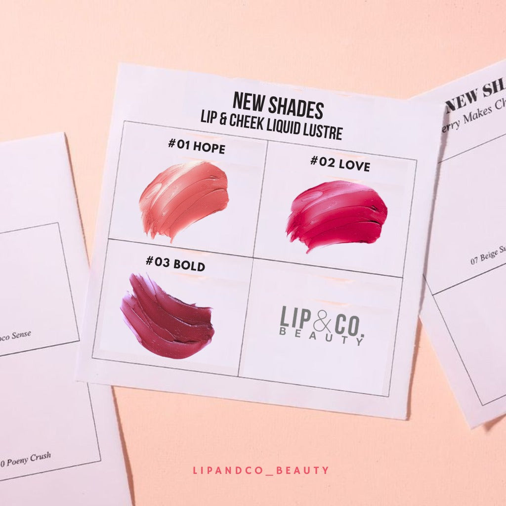 Lip & Co All in One Soft Matte Liquid Lustre Lipstick 3ml