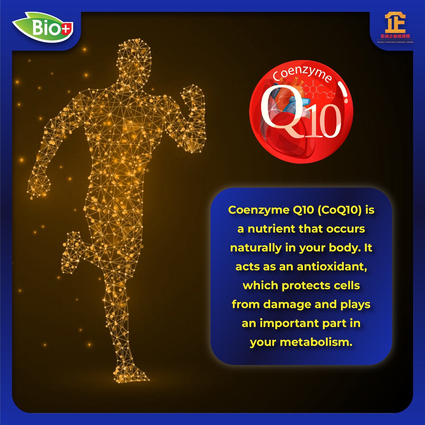 BioPlus CoQ10 Complex with Bioperine 200mg (30 vegetable capsules)