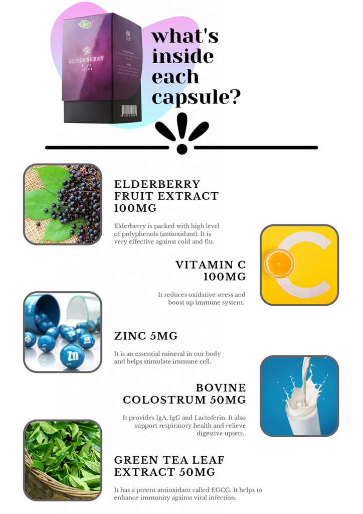 BioPlus Elderberry Plus (60 vegetable capsules)