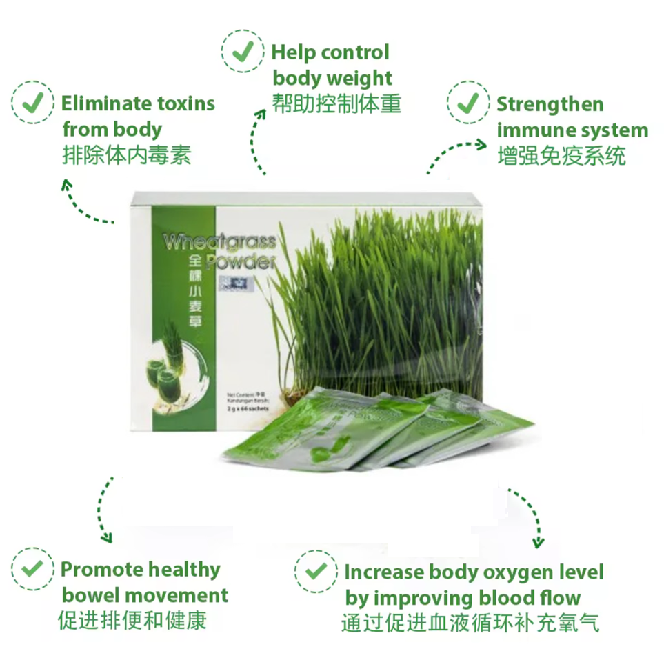 Wheatgrass Powder by Origin Foods (2g x 66 sachets)