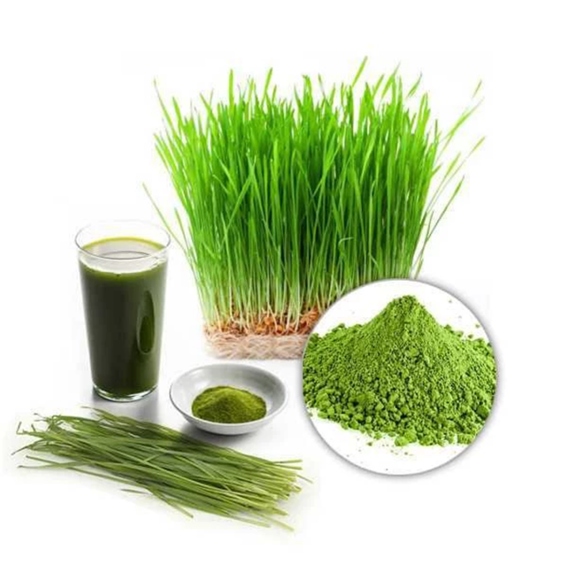 Wheatgrass Powder by Origin Foods (2g x 66 sachets)