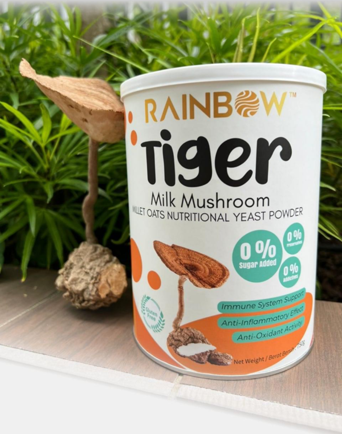 Rainbow Tiger Milk Mushroom Millet Oats Yeast Powder 800g