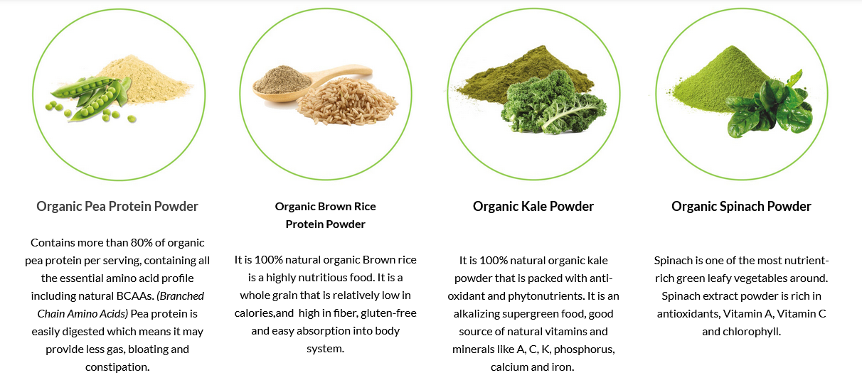 KAY KAY Organic Plant Protein Greens Powder 500g
