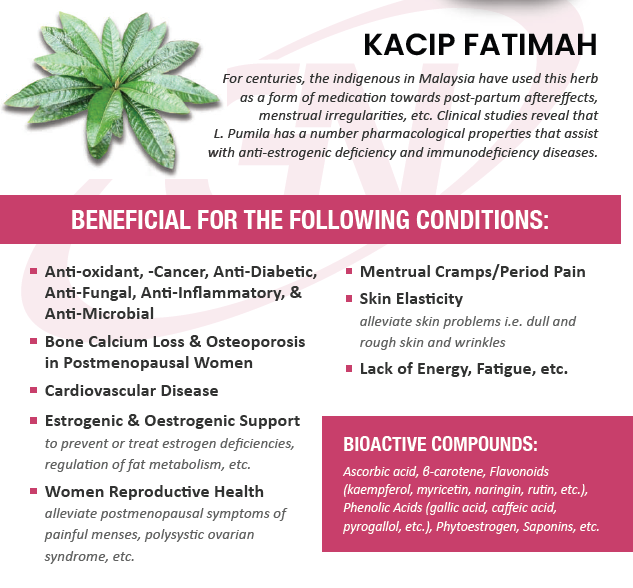 GN Kacip Fatimah Folium Labisia Pumila Extract 500mg (60 vegetable capsules)