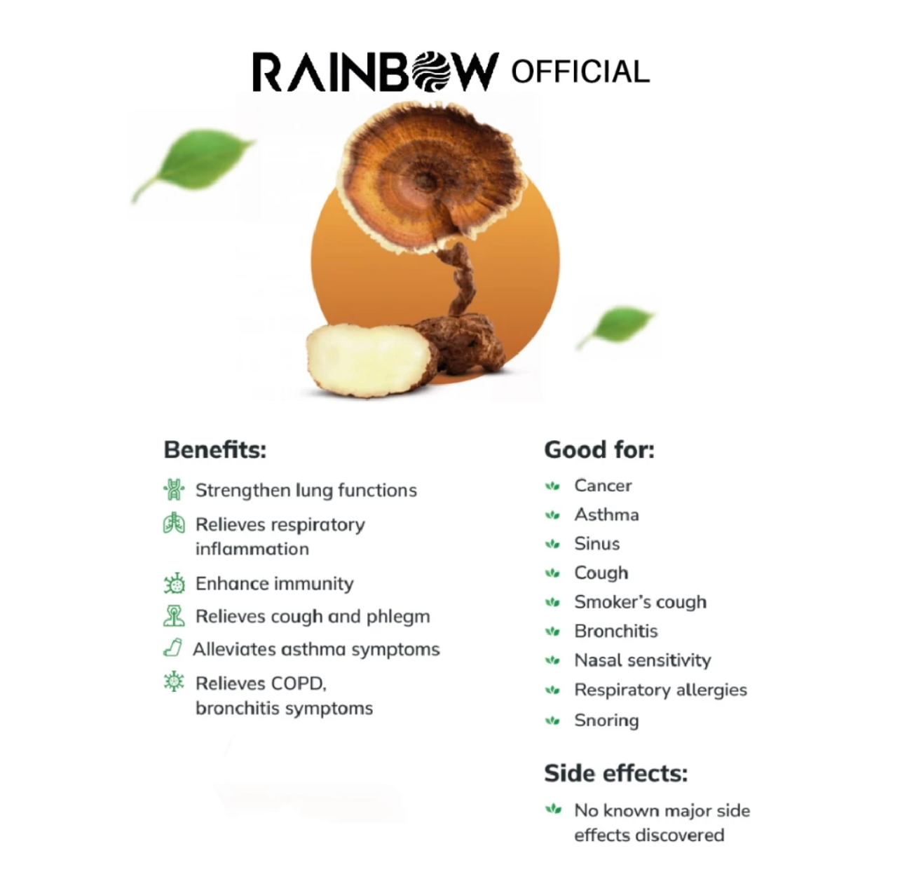 Rainbow Tiger Milk Mushroom Millet Oats Yeast Powder 800g