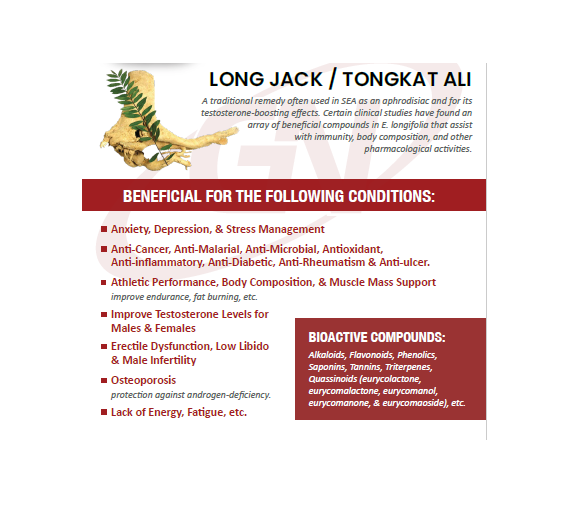 GN Tongkat Ali Eurycoma Longifolia 480mg (60 capsules)