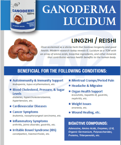 GN Ganoderma Lucidum 480mg (60 capsules)