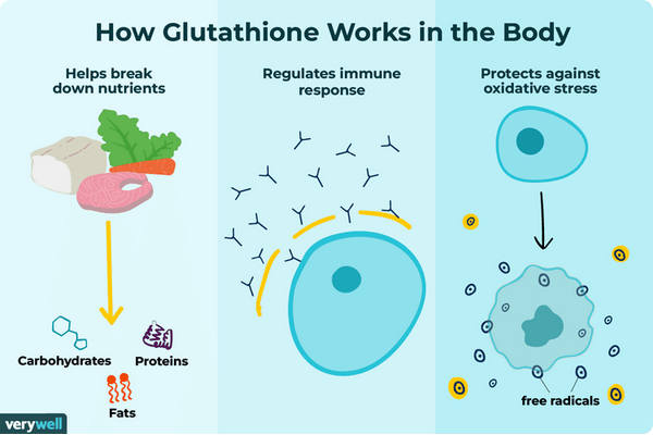 NutrinLife NAC L-Glutathione Complex (2 x 30 vegecaps) Product of USA