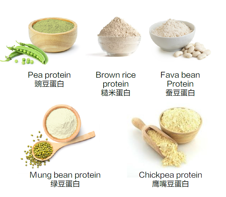 KAY KAY Plant Based Omega 369 ALA DHA Powder (520g)