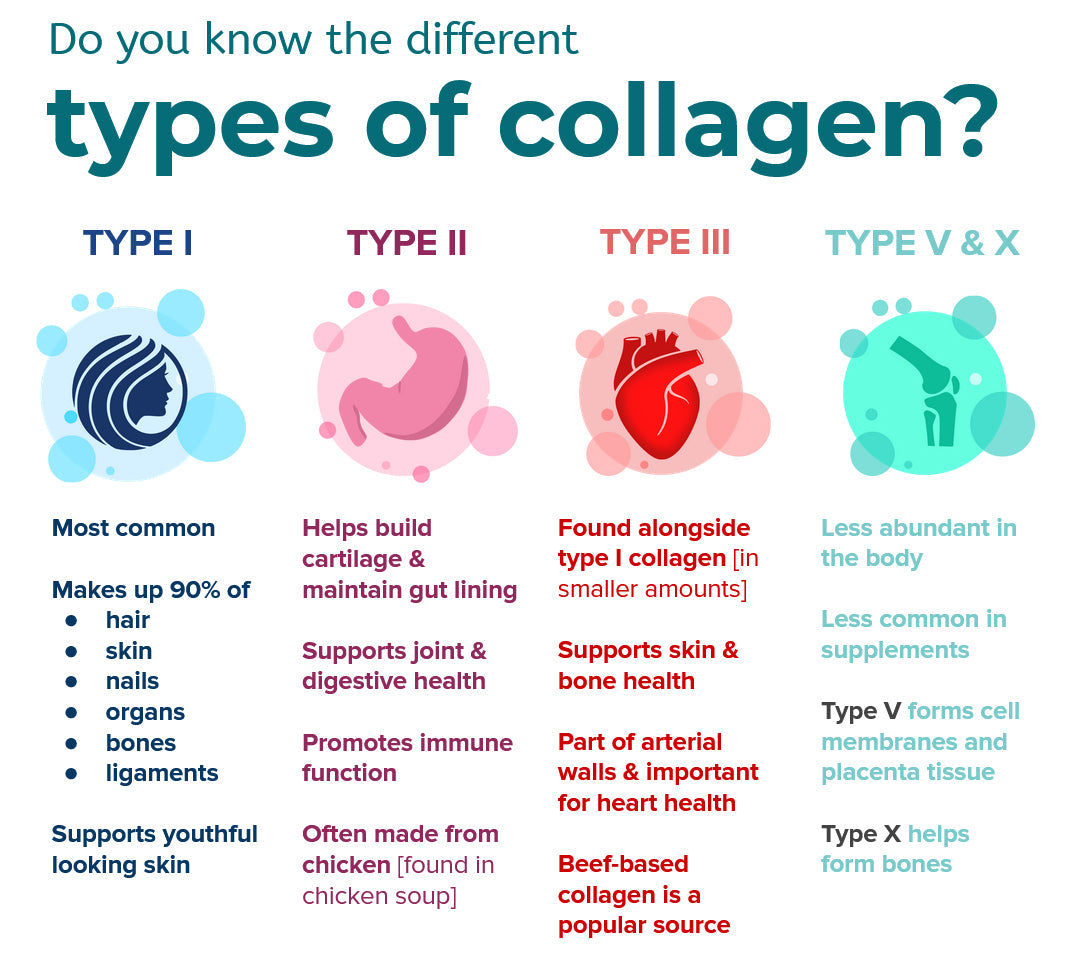 A Guide To Collagen Types