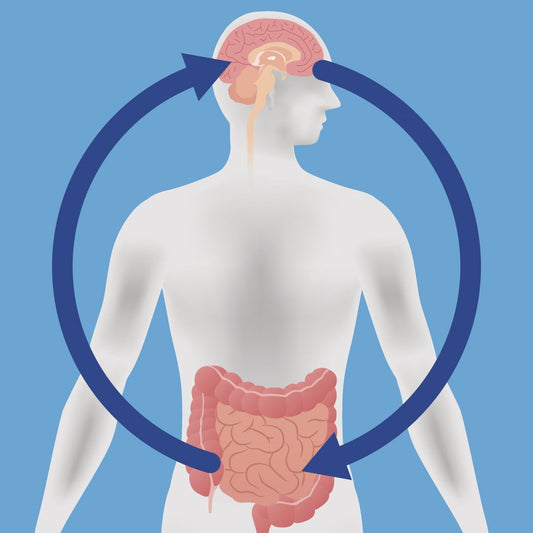 The Brain-Gut Connection and Probiotics