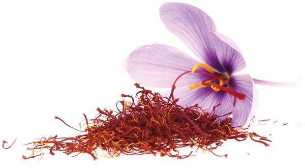 Saffron - Nature’s Mood Booster