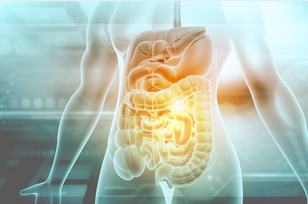 How Long Does It Take to Digest Food?