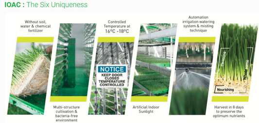The Only One Indoor Organic Aeroponic Cultivation (IOAC) of Wheatgrass in Malaysia