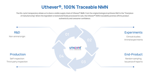 NMN Supplement Benefits