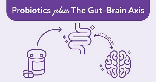 Scientists Reveal Gut Microbes’ Hidden Role in Anxiety
