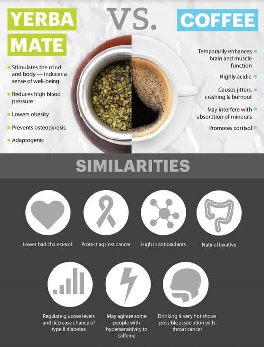 Yerba Mate vs. Coffee