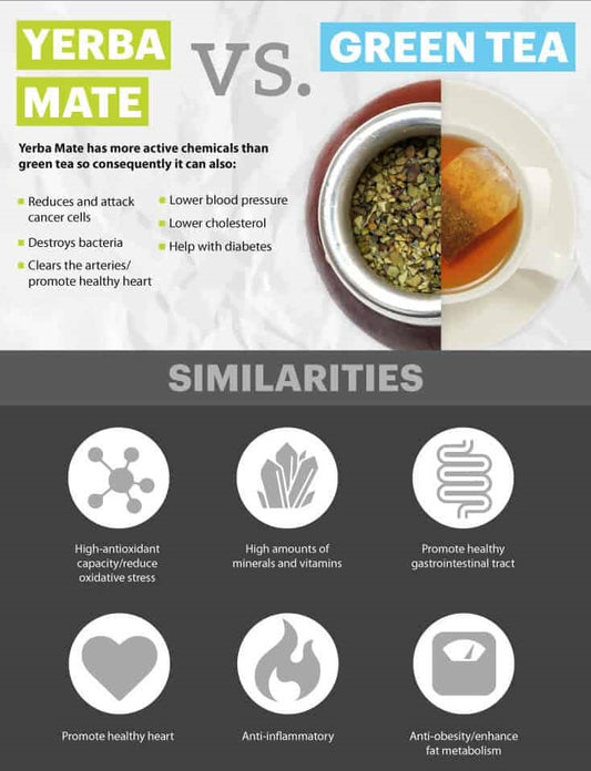 Yerba Mate vs. Green Tea