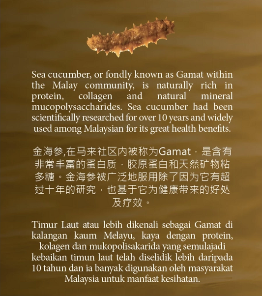 The Secret of the Sea for Healthy Aging
