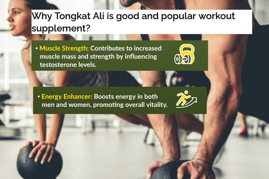 Why is Tongkat Ali a good and popular workout supplement?