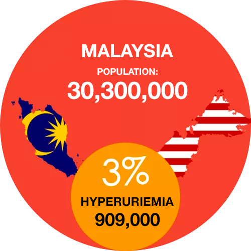 Gout: A Growing Concern in Malaysia