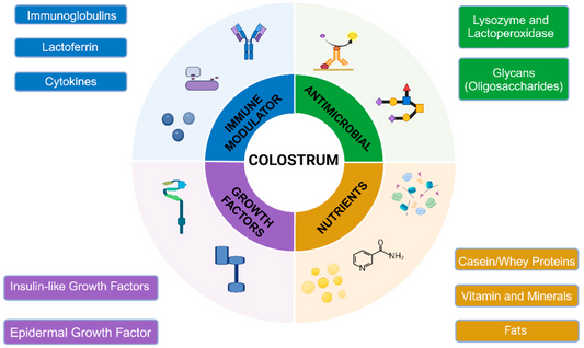 Bovine Colostrum for Children – Small Scoop, Big Support