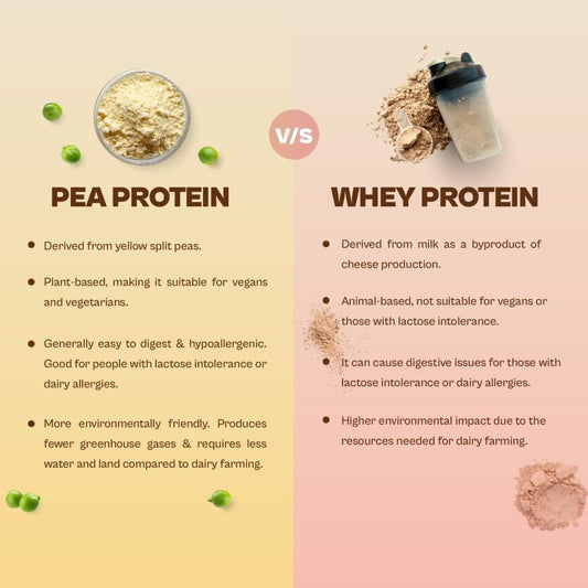 Pea Protein vs. Whey Protein: Which is Better?