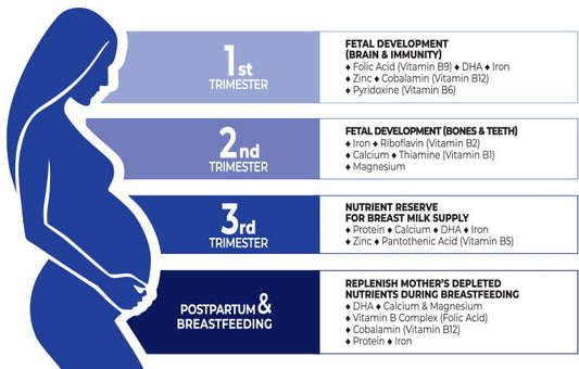 DHA and Pregnancy