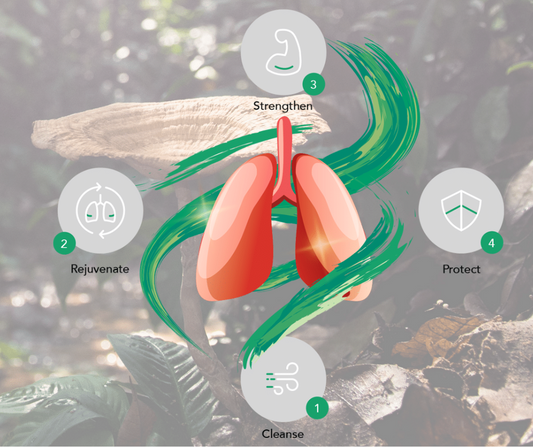 Tiger Milk Mushroom Supplement: How Does It Work?