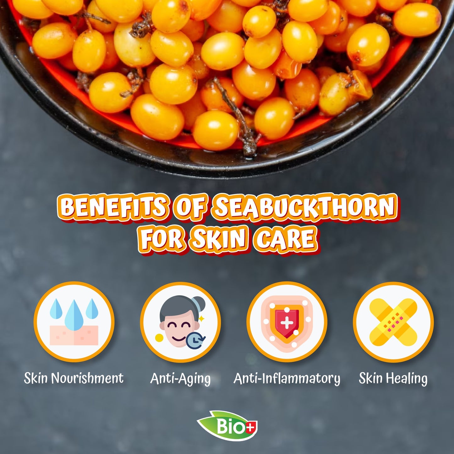 BioPlus Organic Seabuckthorn Extract 500mg (60 softgels)