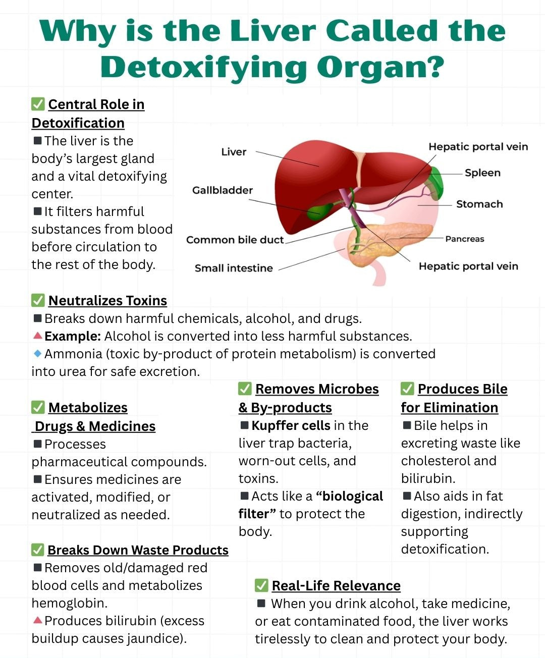 Green Heron Gan Capsule 408mg (100 capsules) 助肝草