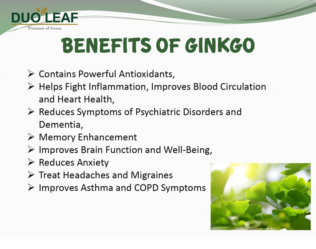 Duoleaf Ginkgo Biloba Plus 120mg (2 x 60 capsules)