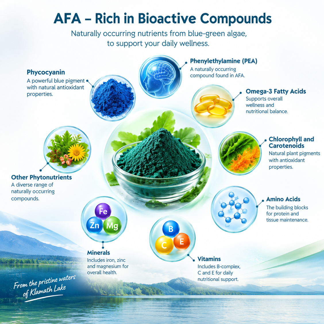 GN AFA Blue Green Algae 500mg (60 vegetable capsules) Aphanizomenon Flos-Aquae Extract