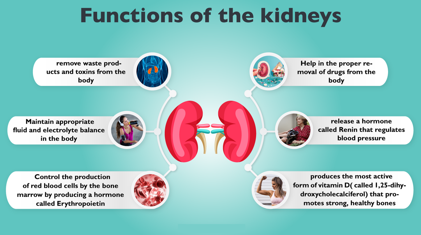 Green Heron Shen Capsule 415mg (100 capsules) 补肾草