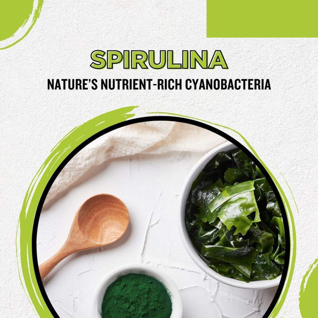 Green Heron Spirulina Capsule 310mg (70 capsules)