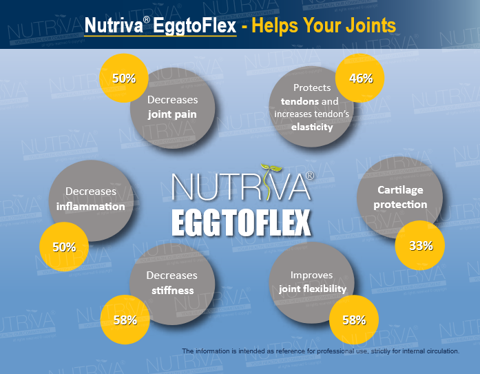Nutriva EggToFlex 600mg (30 capsules)