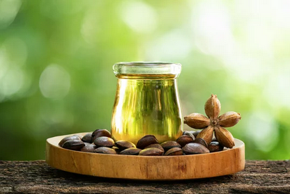 Zemvelo Minyak Sacha Inchi Oil 100% 特级初榨油，含 Omega 3、6、9（5 毫升 x 30 袋）