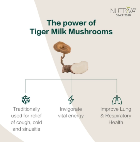 Nutriva A-Rimau 450mg (30 capsules)