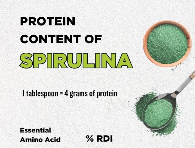 Green Heron Spirulina Capsule 310mg (70 capsules)