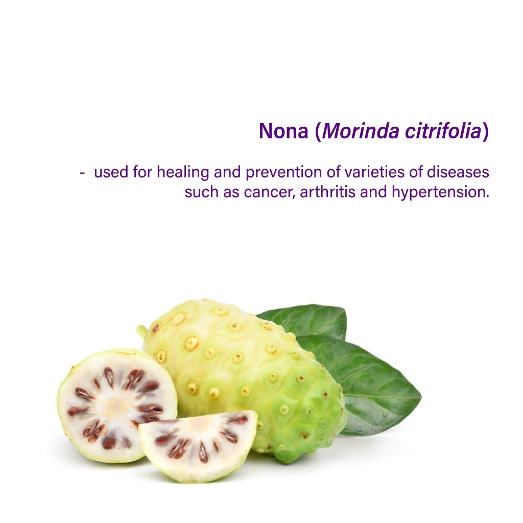 Nutriva MoriHeal Plus Rejuvenating Botanical Beverage (750ml)