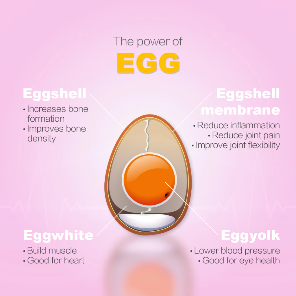 Nutriva EggToFlex 600mg (30 capsules)