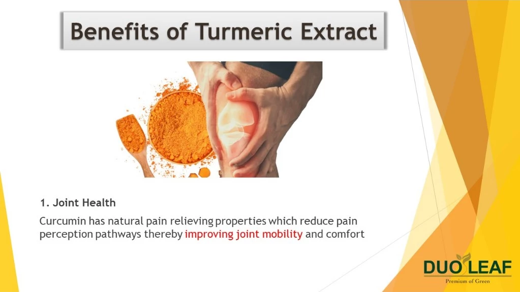 Duoleaf Turmeric + Pepper (2 x 60 capsules)