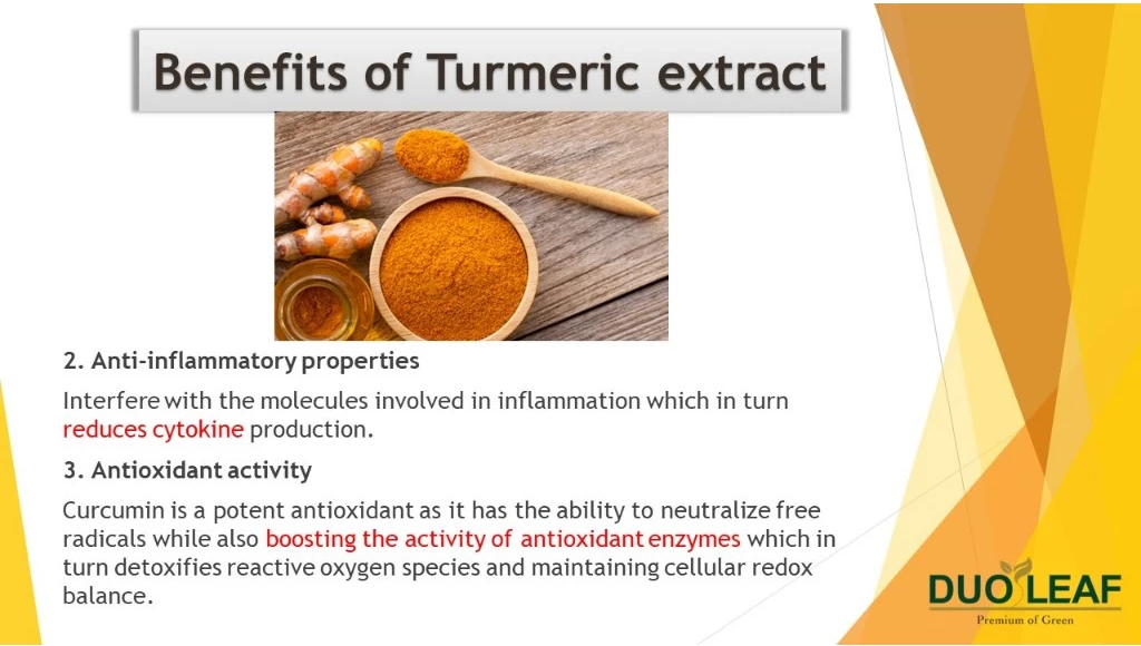 Duoleaf Turmeric + Pepper (2 x 60 capsules)