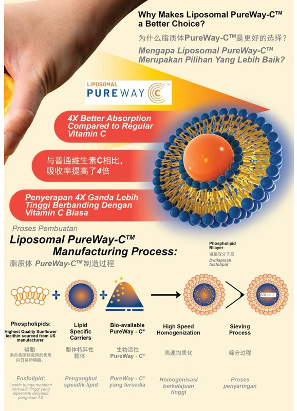 Adore.U Lipo Bio-C Liposomal Pureway-C (5g x 30 sachets)